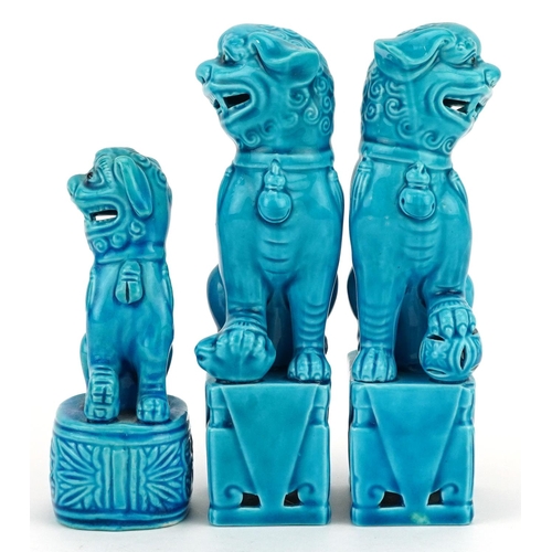 302 - A group of three Chinese turquoise porcelain Foo dogs, 20th century, 16cm high.