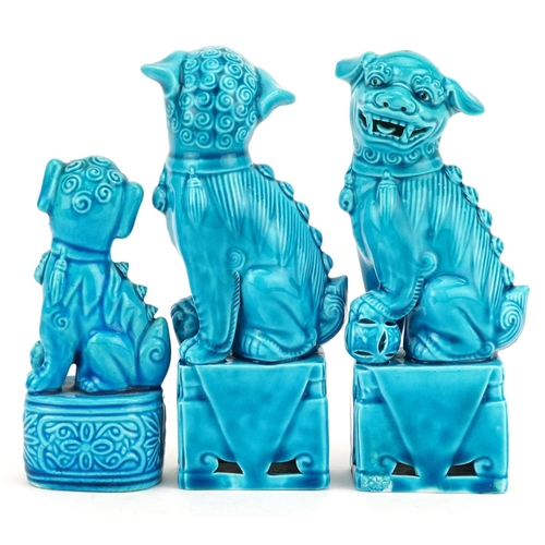 302 - A group of three Chinese turquoise porcelain Foo dogs, 20th century, 16cm high.