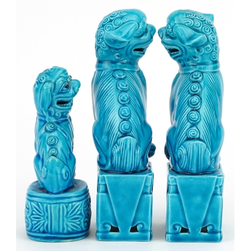 302 - A group of three Chinese turquoise porcelain Foo dogs, 20th century, 16cm high.