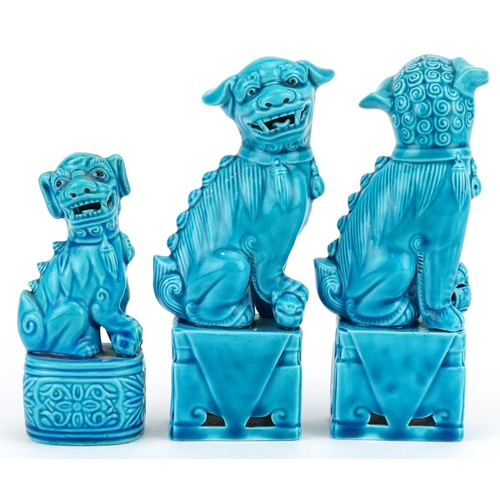 302 - A group of three Chinese turquoise porcelain Foo dogs, 20th century, 16cm high.