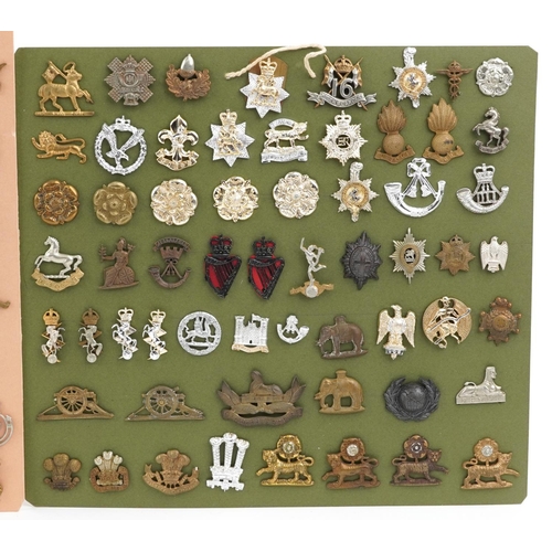 2511 - A collection of military interest cap badges and collar badges including Waterloo, Victorian 16th Ba... 