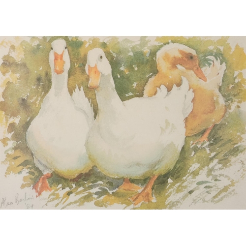 3692 - Three geese, late 20th century print, indistinctly signed and dated 1984, framed and glazed, 37cm x ... 