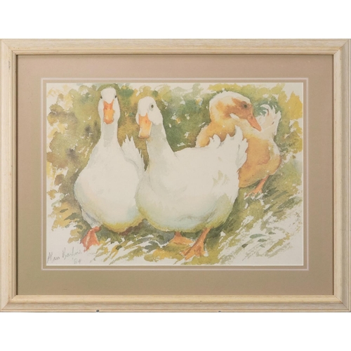 3692 - Three geese, late 20th century print, indistinctly signed and dated 1984, framed and glazed, 37cm x ... 