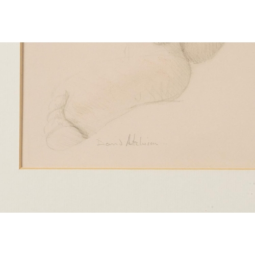 3426 - David Aitchison - No. 7 Seated Female Nude, 20th century British School, pencil on paper, signed low... 