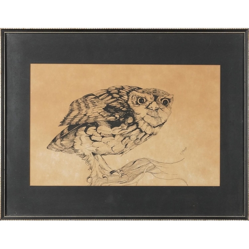 3455 - T. J. Meads - Owl on a branch, 20th century British School, pen and ink on paper, framed and glazed,... 