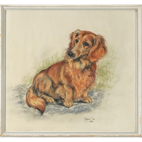 3434 - Marjorie Cox - Portrait of a Terrier, mid 20th century British School, pastels on paper, signed and ... 