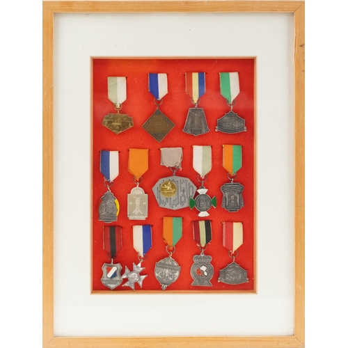 2581 - A collection of Netherlands Achievement medals with ribbons, mounted, framed and glazed, overall 43c... 