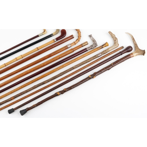 1403 - A collection of antique and later walking sticks, some with horn handles, one with a silver mount an... 