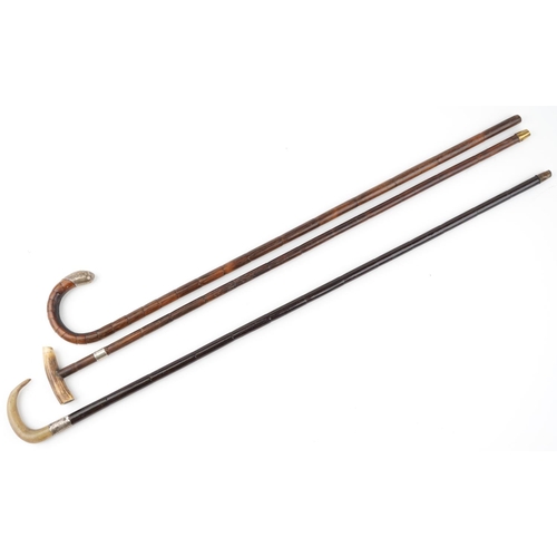 234 - Three bamboo walking canes with silver mounts, two with horn handles, the largest 92cm in length.