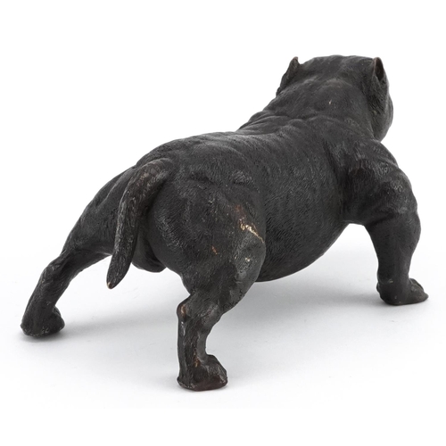 189 - A patinated bronze study of a British Bulldog, 19cm in length.