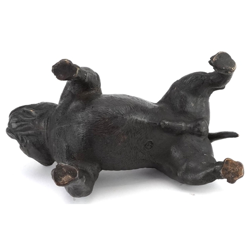 189 - A patinated bronze study of a British Bulldog, 19cm in length.