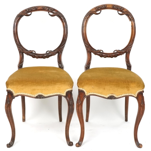 1071 - A pair of late Victorian carved walnut balloon back dining chairs, 90cm high.