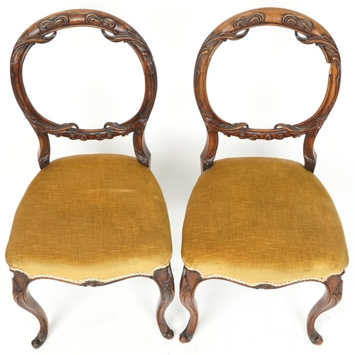 1071 - A pair of late Victorian carved walnut balloon back dining chairs, 90cm high.