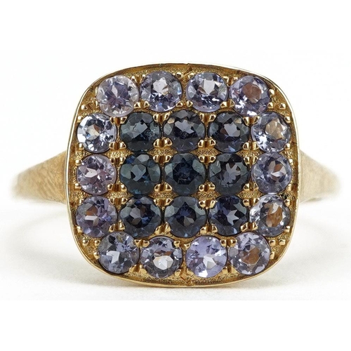 3064 - A 9ct gold tanzanite and amethyst cluster ring, size R/S, 2.8g