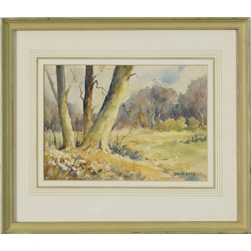 3468 - Ben Heymer - Wayside Trees, 20th century British School, watercolour on paper, signed, framed and gl... 