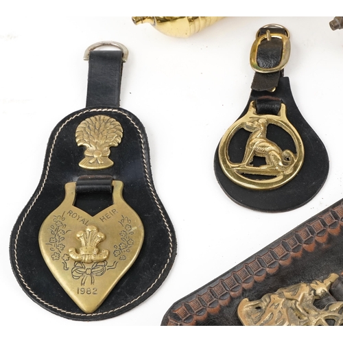 1497 - A small collection of early 20th century horse brasses mounted to leather straps together with a Pyr... 