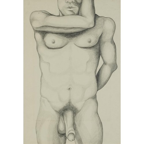 3674 - After Lowell Nesbitt - Standing Nude, late 20th century British School coloured pencil on paper, fra... 