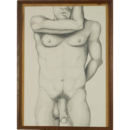 3674 - After Lowell Nesbitt - Standing Nude, late 20th century British School coloured pencil on paper, fra... 