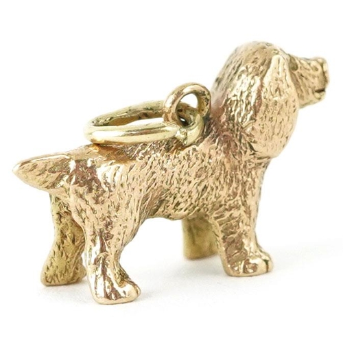 305 - A 9ct gold charm in the form of a Spaniel, 1.7cm in length, 2.8g.