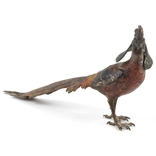 2 - A late 19th/early 20th century Austrian cold painted bronze figure of a pheasant, 23cm high x 51cm i... 