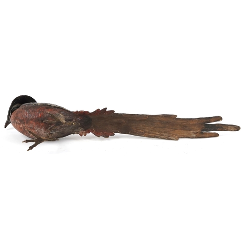 2 - A late 19th/early 20th century Austrian cold painted bronze figure of a pheasant, 23cm high x 51cm i... 