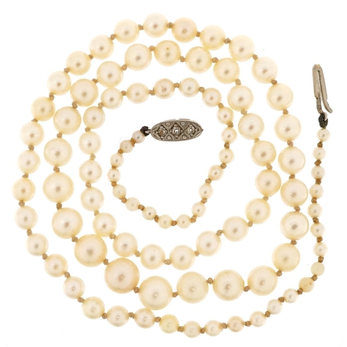 173 - A graduated cultured pearl necklace with unmarked gold diamond clasp, the largest pearl 7.3mm in dia... 