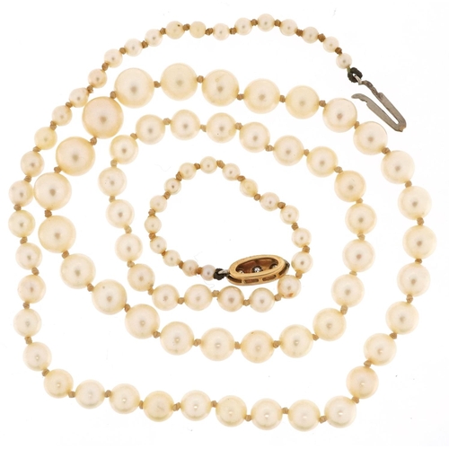 173 - A graduated cultured pearl necklace with unmarked gold diamond clasp, the largest pearl 7.3mm in dia... 