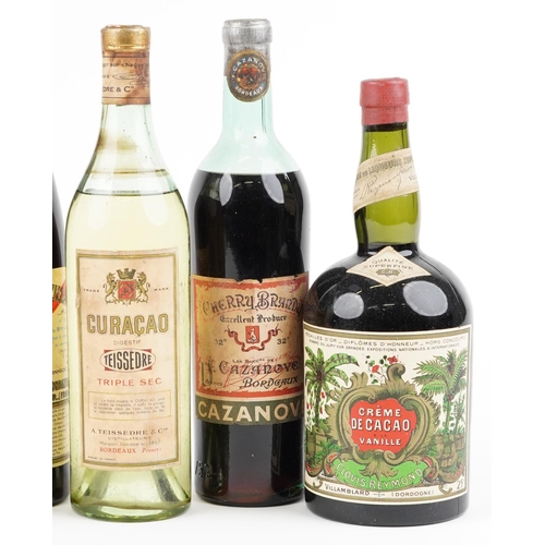 393 - Seven bottles of alcohol including Curaçao Triple Sec, Cazanove cherry brandy and Cherry Monin cherr... 