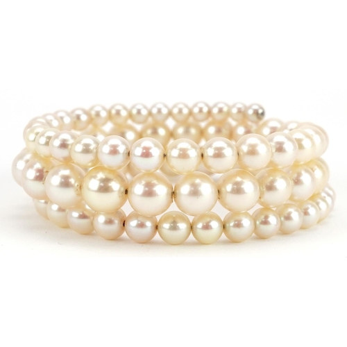 597 - A three row graduated cultured pearl bracelet, the largest pearl 8.2mm in diameter, total 30.4g.