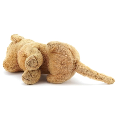 529 - An early 20th century mohair stuffed toy lion with stitched claws and snout with a jointed head with... 