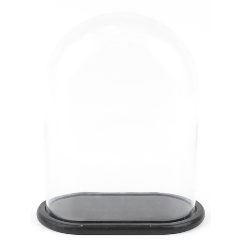 1159 - A 20th century moulded glass display dome with an ebonised base, 40cm H x 34cm W x 28cm D.