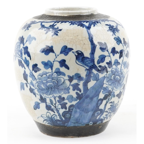 244 - A Chinese blue and white porcelain ginger jar, late 19th/early 20th century, decorated with birds am... 