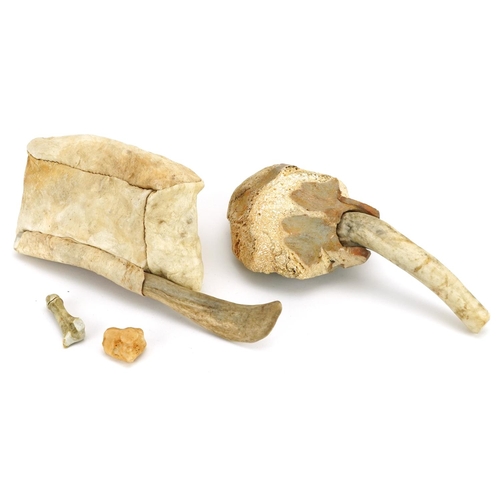 222 - Two central Arctic Inuit items, late 20th century, including an antler and skin water carrier and an... 