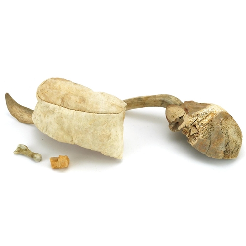 222 - Two central Arctic Inuit items, late 20th century, including an antler and skin water carrier and an... 