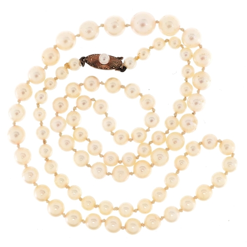 2567 - A Japanese Mikimoto graduated pearl necklace with a 10ct gold clasp, the largest pearl 7.8mm in diam... 