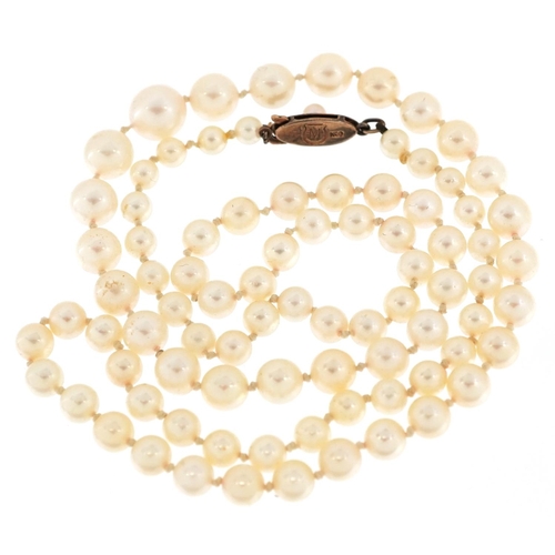 2567 - A Japanese Mikimoto graduated pearl necklace with a 10ct gold clasp, the largest pearl 7.8mm in diam... 