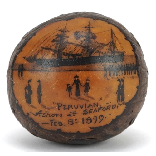 127 - A late 19th century nut hand painted with 'The Peruvian' Ashore at Seaford, dated Feb 8th 1899, 4.8c... 