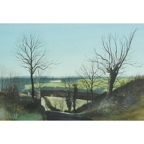 2782 - Peter Newcombe - 20th century British school acrylic on paper, signed and dated 1972, framed, 26cm x... 