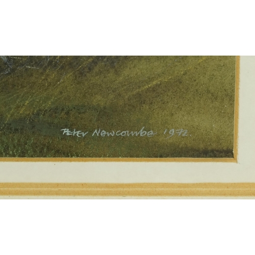 2782 - Peter Newcombe - 20th century British school acrylic on paper, signed and dated 1972, framed, 26cm x... 