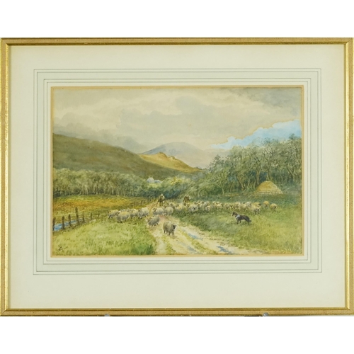 2639 - Langleeford Valley and Cheviot, 20th century British school watercolour on paper, initialled, framed... 