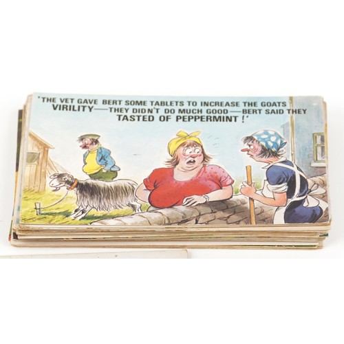 1564 - A collection of approximately sixty humorous colour postcards to include Bamforth & Co and Donald Mc... 