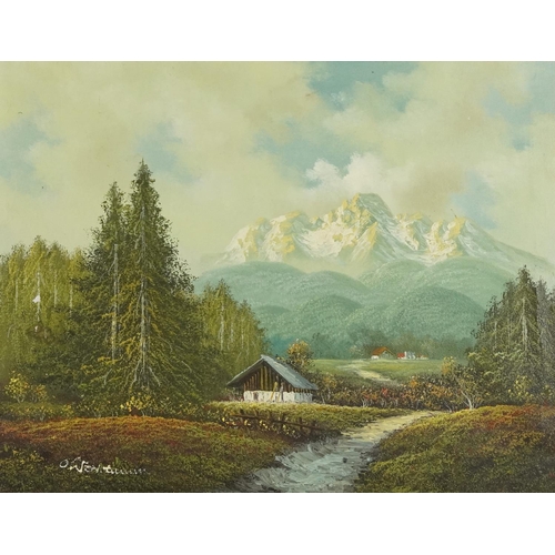 2607 - Swiss landscape, 20th century continental school oil on canvas, indistinctly signed, framed, 46cm x ... 