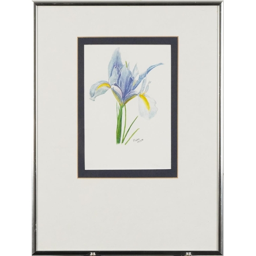 2787 - Maine - Botanical study, late 20th century British school watercolour on paper, framed, 17cm x 12cm,... 