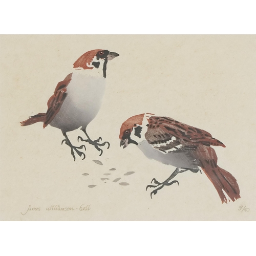 2796 - James Williamson-Bell - Birds eating seeds, late 20th century British school watercolour on paper, s... 