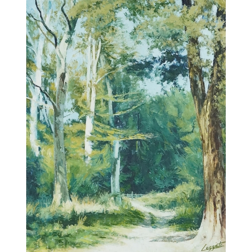 2792 - Douglas Leggat - Forest path, late 20th century British school oil on canvas, signed, framed, 50cm x... 