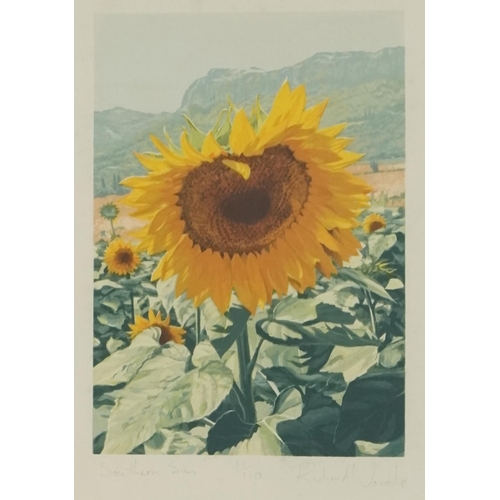 2824 - Richard Wardle - Southern Sun, 20th century British school signed and editioned print, framed, 26cm ... 