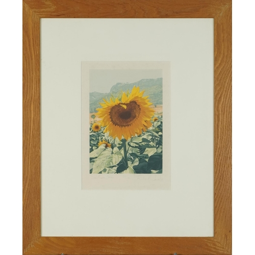 2824 - Richard Wardle - Southern Sun, 20th century British school signed and editioned print, framed, 26cm ... 