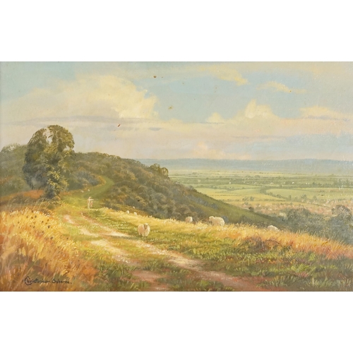 2826 - Christopher Osborne - Up on The Downs, late 20th century British school oil on board, signed and dat... 