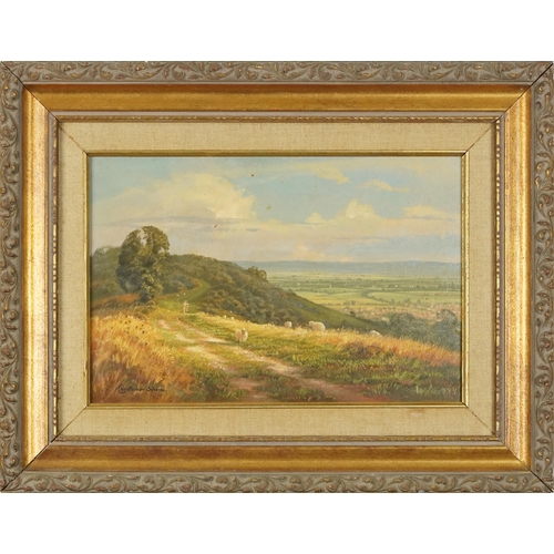 2826 - Christopher Osborne - Up on The Downs, late 20th century British school oil on board, signed and dat... 