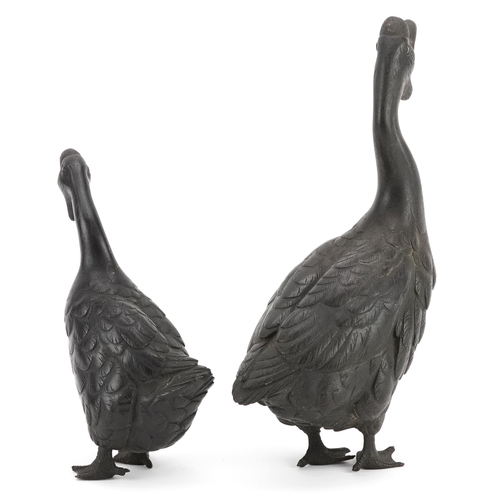 55 - Two similar graduated Japanese brown patinated bronze figures of geese, 20th century, bearing marks,... 